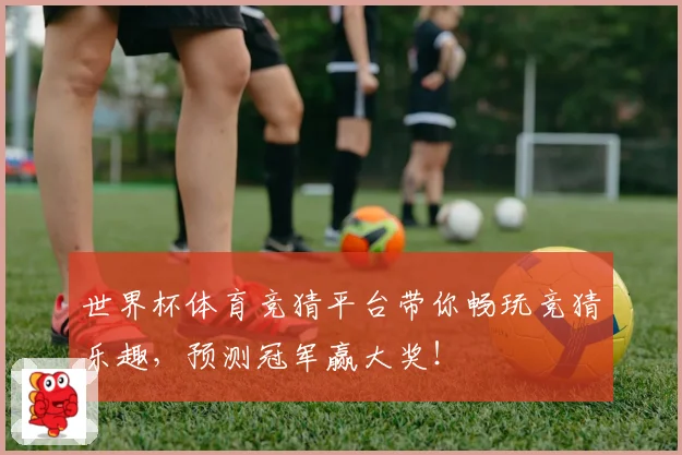 世界杯体育竞猜平台带你畅玩竞猜乐趣，预测冠军赢大奖！