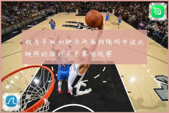 我与辛纳如硬币两面相隔网中彼此映照的微妙关系赛场观察