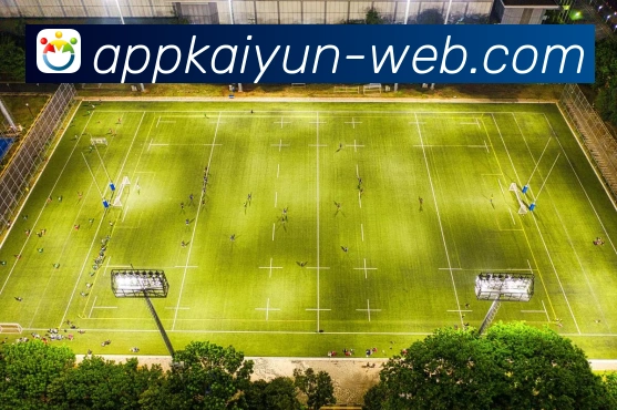 开云官网入口：轻松访问全球奢侈品牌的购物与资讯平台