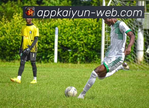 开云APP 体育赛事宣传图